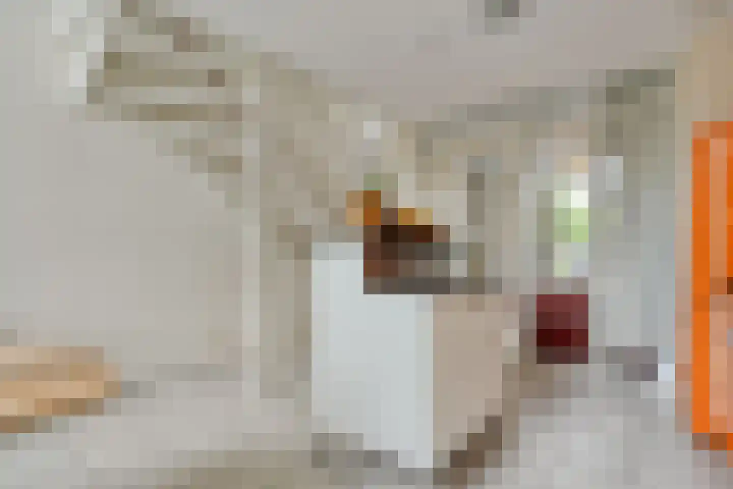 Mozartlaan 28 Zwolle thumbnail 14