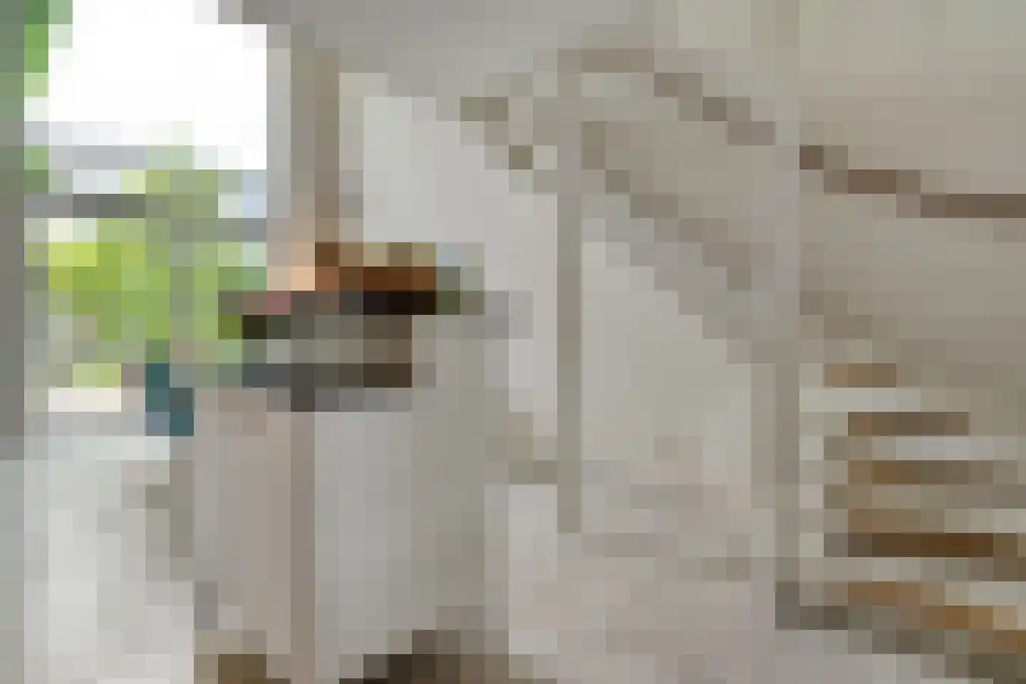 Mozartlaan 28 Zwolle thumbnail 18