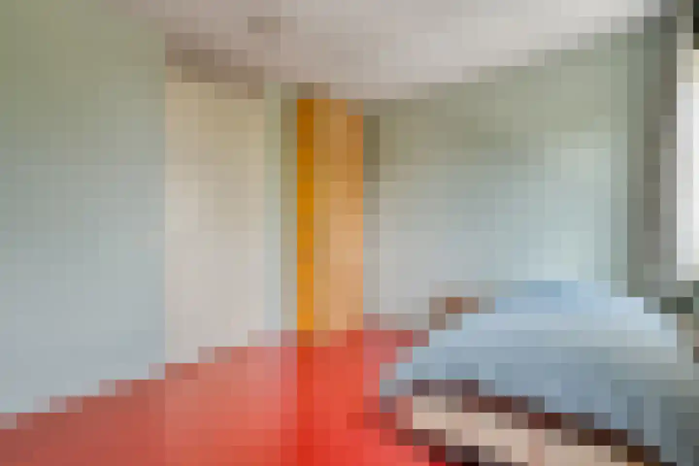 Mozartlaan 28 Zwolle thumbnail 27