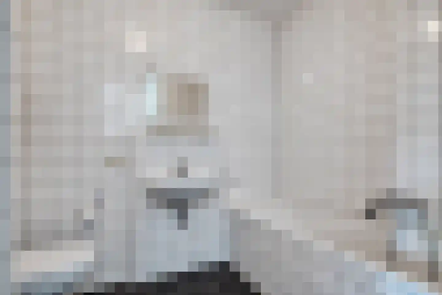 Mozartlaan 28 Zwolle thumbnail 28