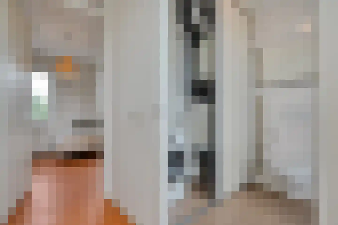 Mozartlaan 28 Zwolle thumbnail 36