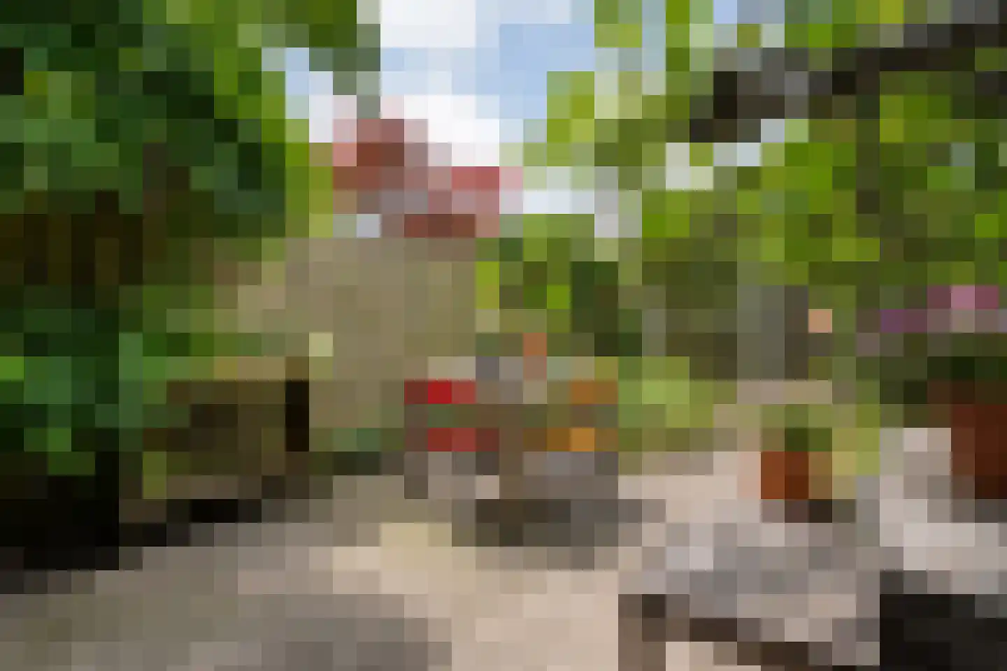 Mozartlaan 28 Zwolle thumbnail 44