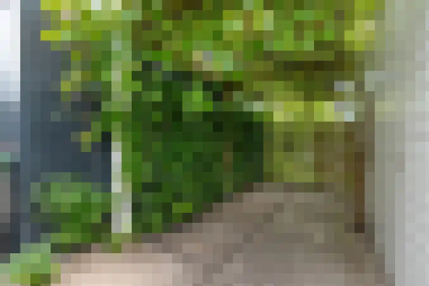 Mozartlaan 28 Zwolle thumbnail 56