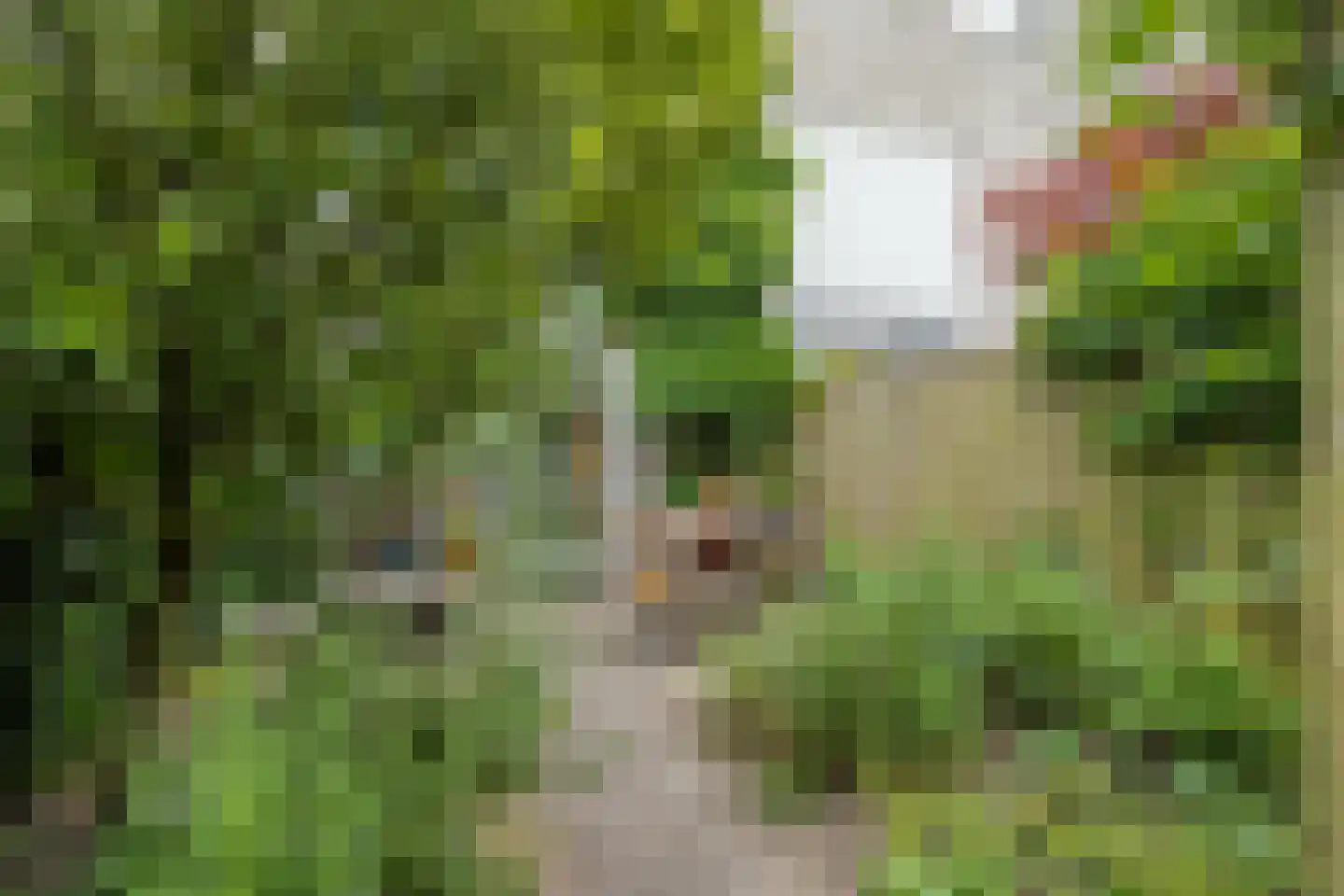 Mozartlaan 28 Zwolle thumbnail 57
