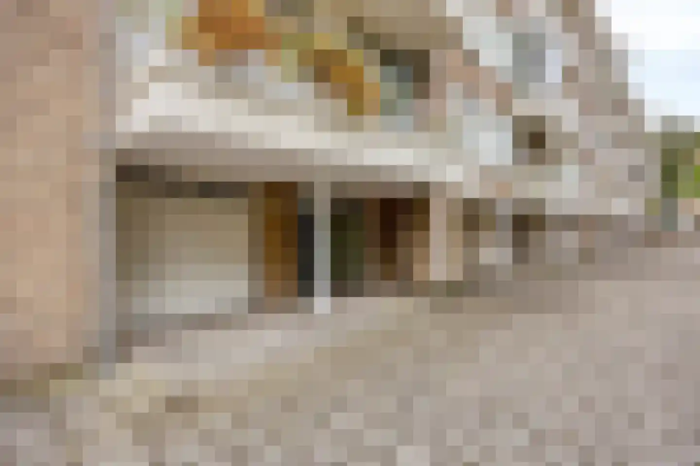 Mozartlaan 281 Den Haag thumbnail 4