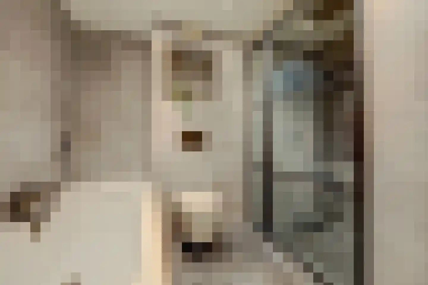 Mozartlaan 29 Waalwijk thumbnail 27