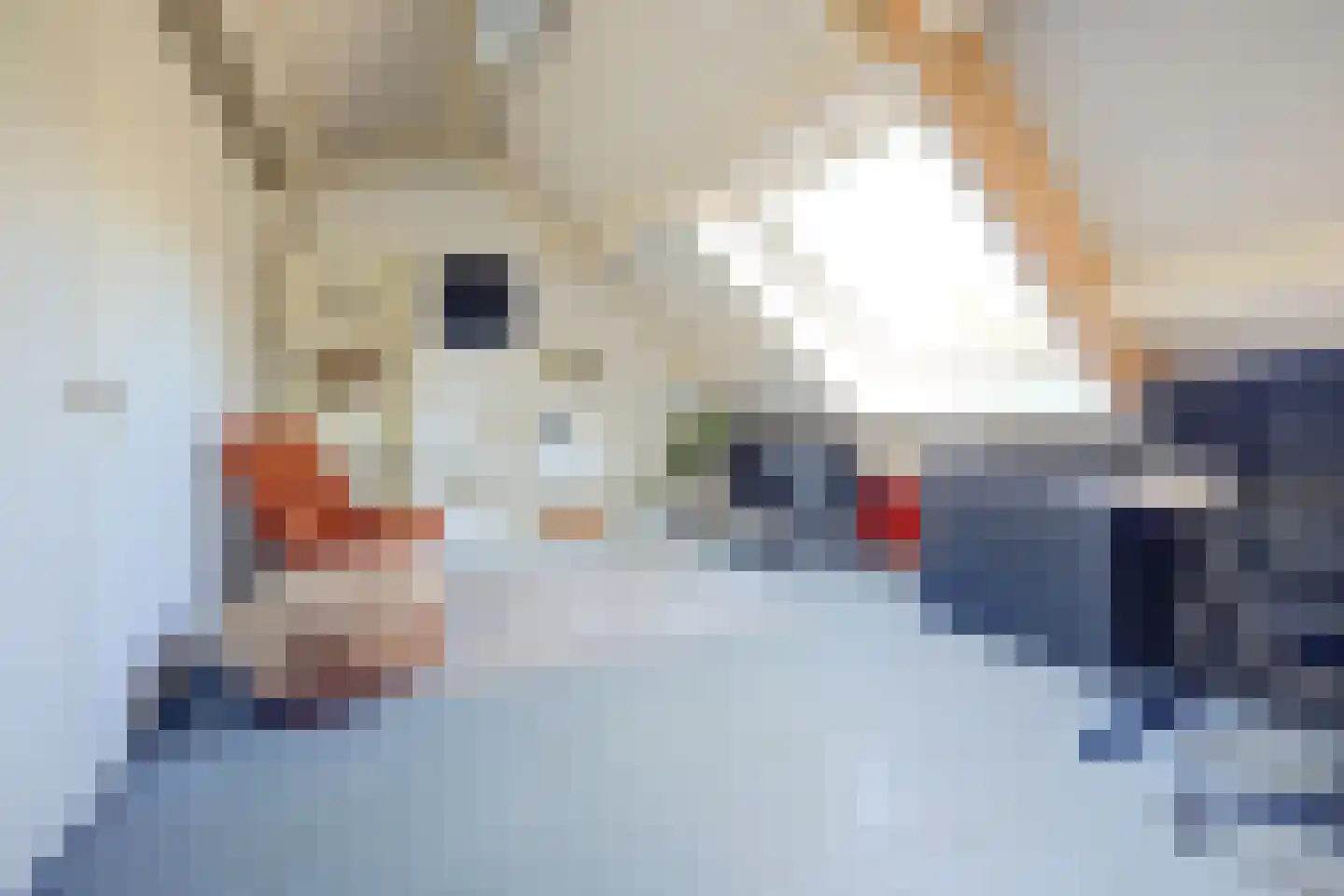Mozartlaan 29 Waalwijk thumbnail 31