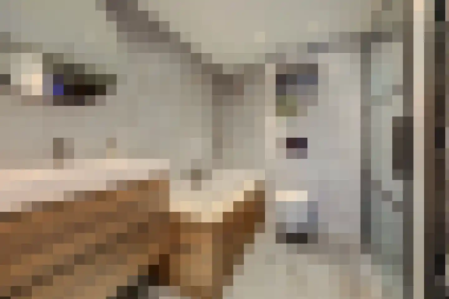 Mozartlaan 29 Waalwijk thumbnail 4
