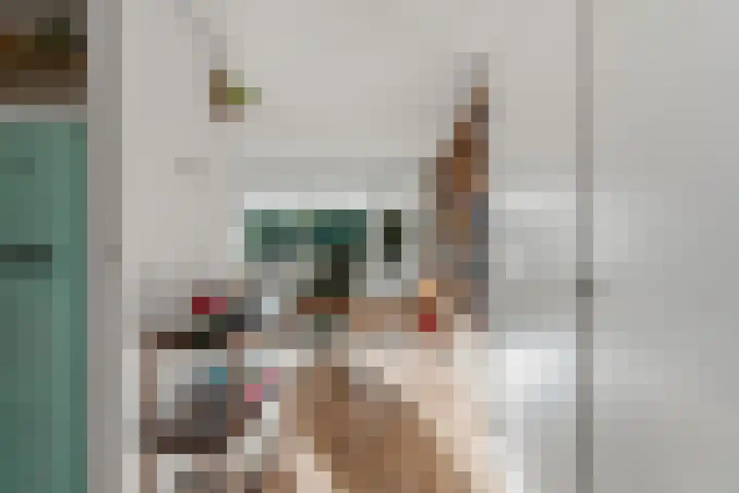 Mozartlaan 294 Den Haag thumbnail 13