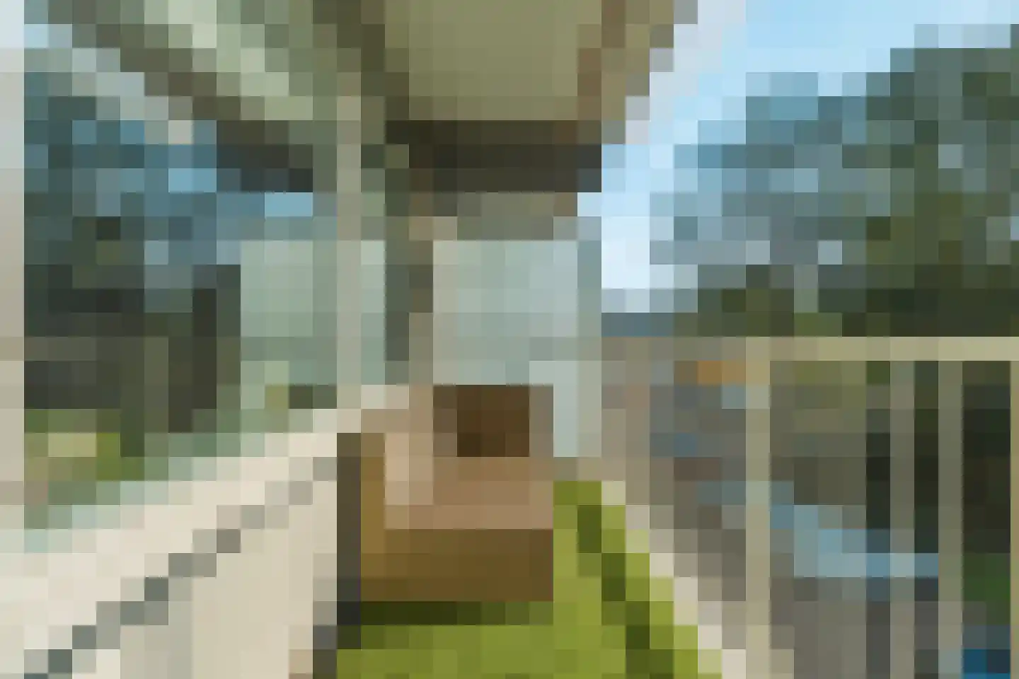 Mozartlaan 294 Den Haag thumbnail 17