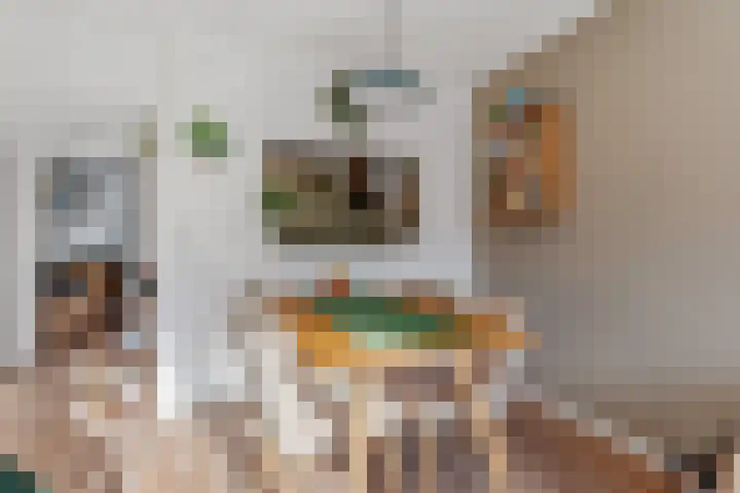 Mozartlaan 294 Den Haag thumbnail 23
