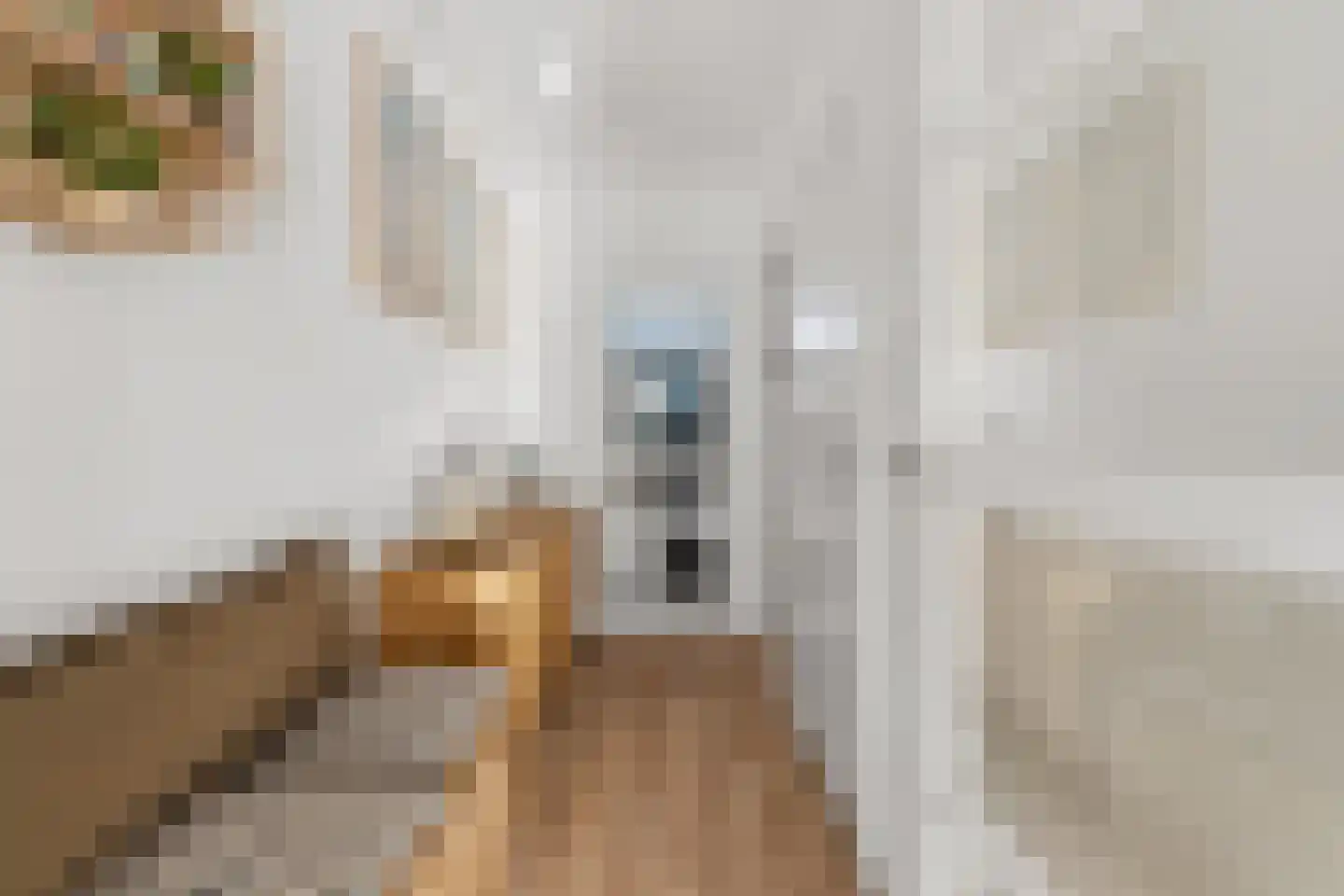 Mozartlaan 294 Den Haag thumbnail 34