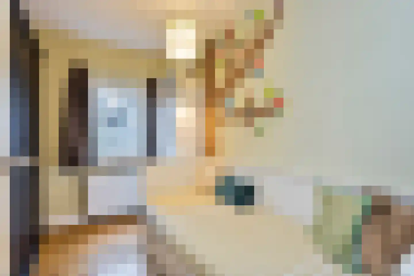 Mozartlaan 3 Velp thumbnail 26