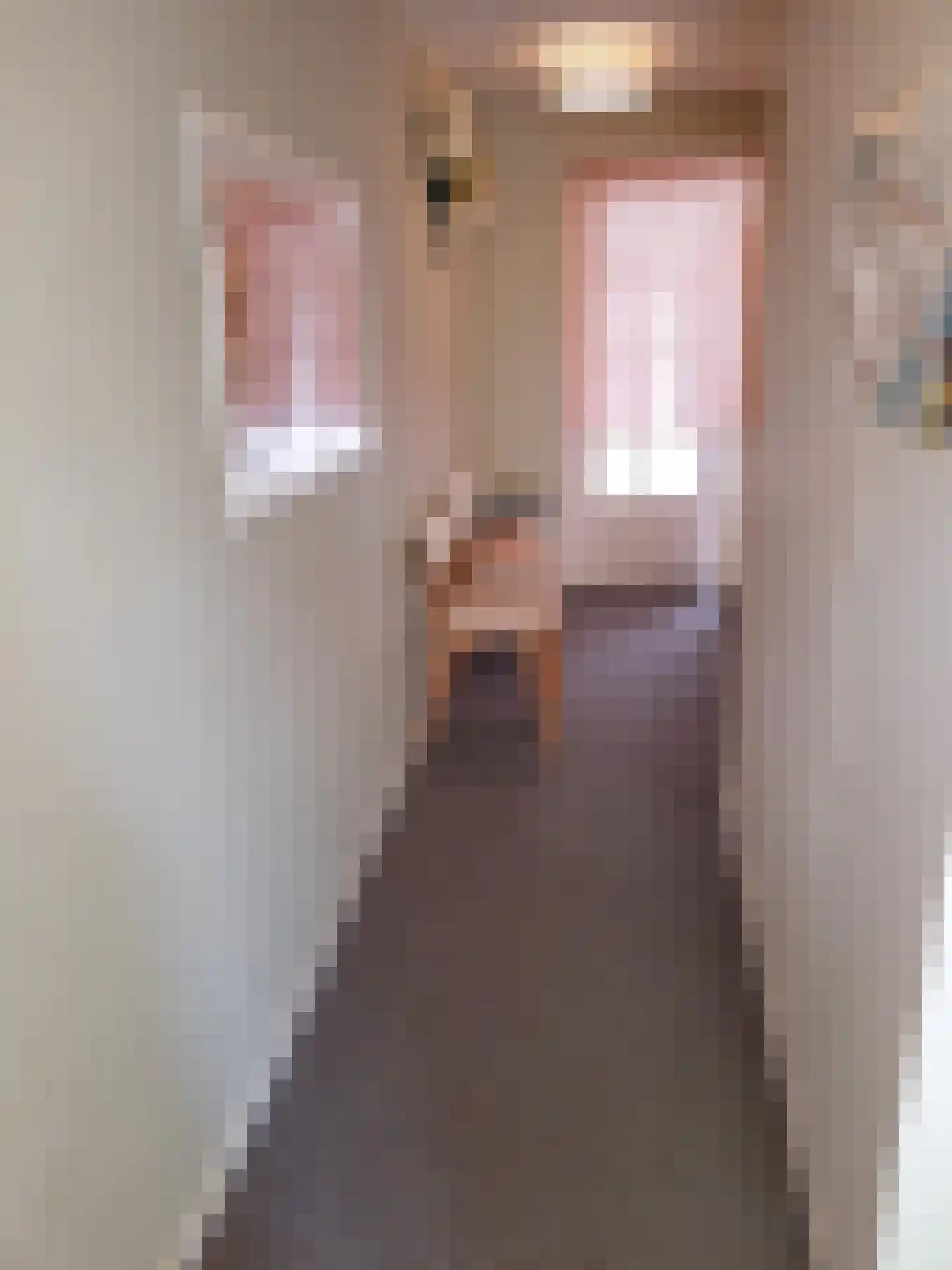 Mozartlaan 3 Velp thumbnail 27