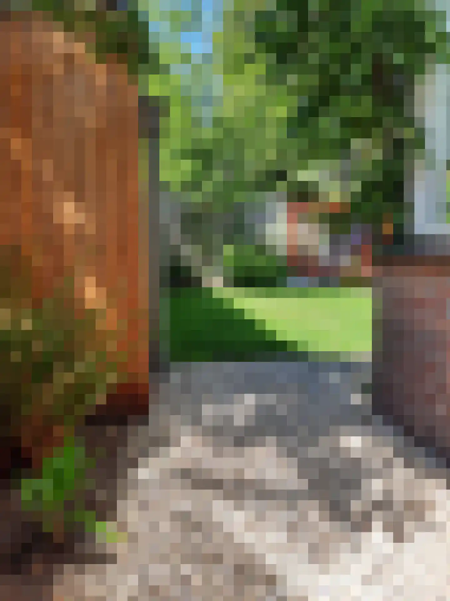 Mozartlaan 3 Velp thumbnail 31