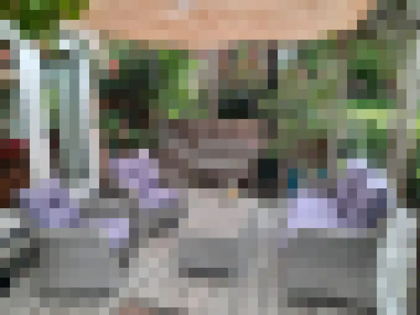 Mozartlaan 3 Velp thumbnail 31