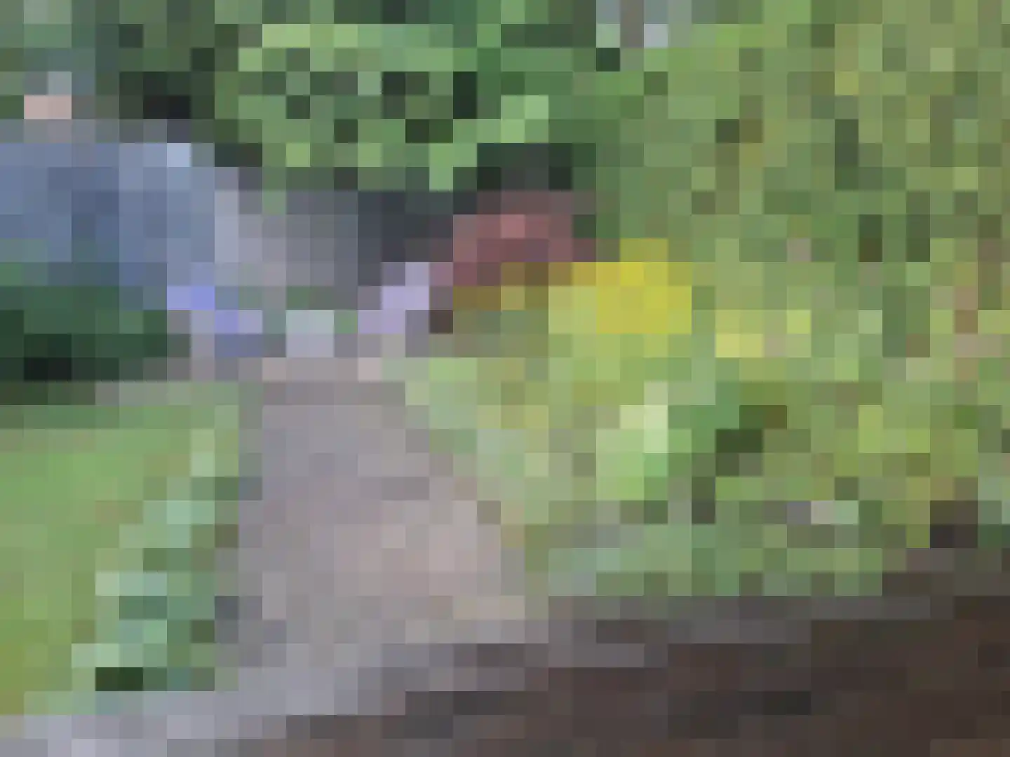 Mozartlaan 3 Velp thumbnail 33