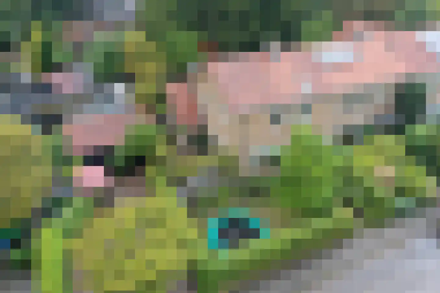 Mozartlaan 3 Velp thumbnail 4