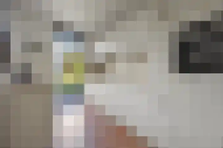 Mozartlaan 3 Vlijmen thumbnail 10