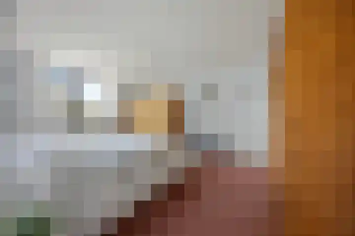 Mozartlaan 3 Vlijmen thumbnail 13