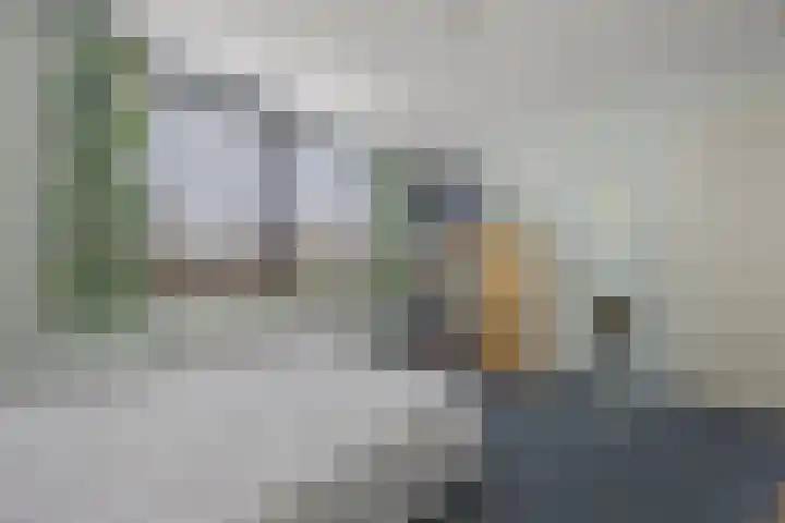 Mozartlaan 3 Vlijmen thumbnail 15