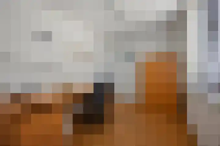 Mozartlaan 3 Vlijmen thumbnail 20