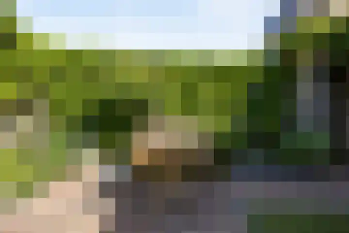 Mozartlaan 3 Vlijmen thumbnail 25