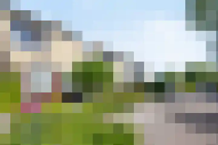 Mozartlaan 3 Vlijmen thumbnail 29