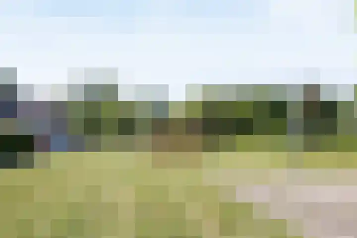 Mozartlaan 3 Vlijmen thumbnail 31