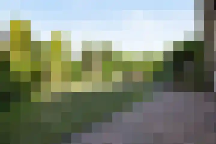 Mozartlaan 3 Vlijmen thumbnail 4