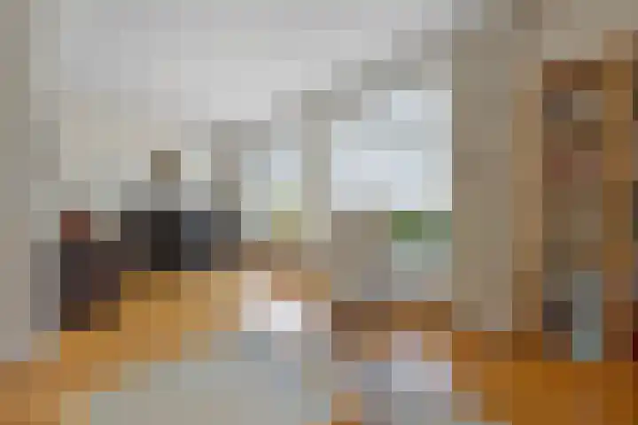 Mozartlaan 3 Vlijmen thumbnail 8