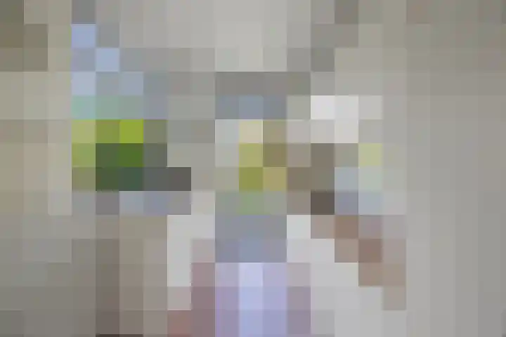 Mozartlaan 3 Vlijmen thumbnail 9