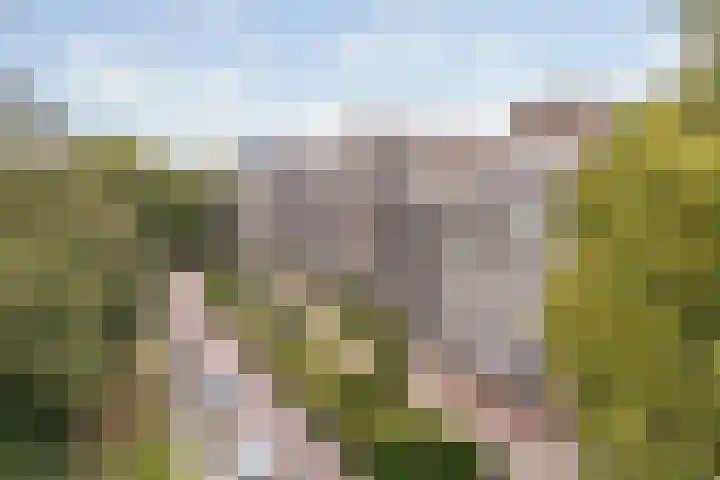 Mozartlaan 30 Breda thumbnail 10