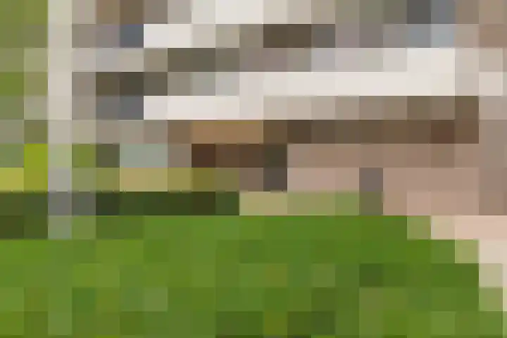 Mozartlaan 30 Breda thumbnail 11
