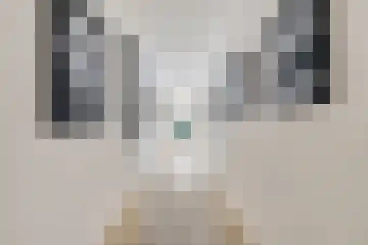 Mozartlaan 30 Breda thumbnail 20
