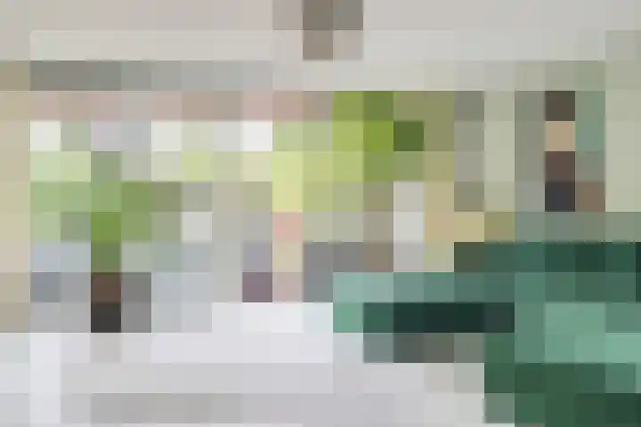 Mozartlaan 30 Breda thumbnail 24
