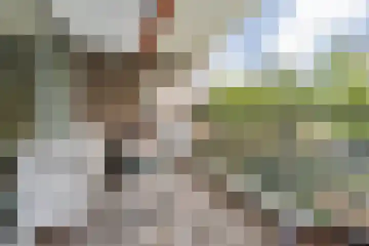 Mozartlaan 30 Breda thumbnail 27