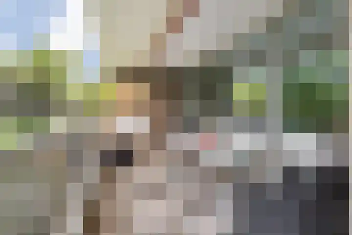 Mozartlaan 30 Breda thumbnail 28