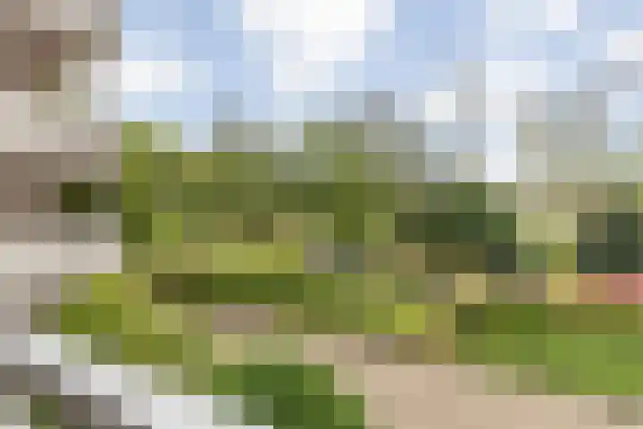 Mozartlaan 30 Breda thumbnail 29