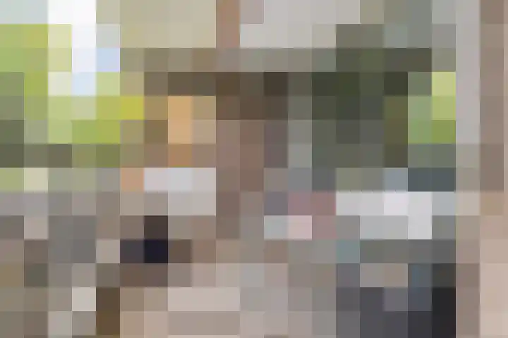 Mozartlaan 30 Breda thumbnail 31