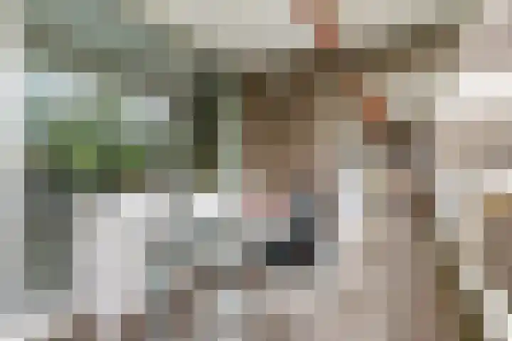 Mozartlaan 30 Breda thumbnail 32