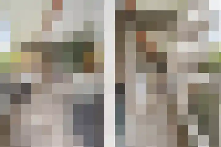 Mozartlaan 30 Breda thumbnail 33