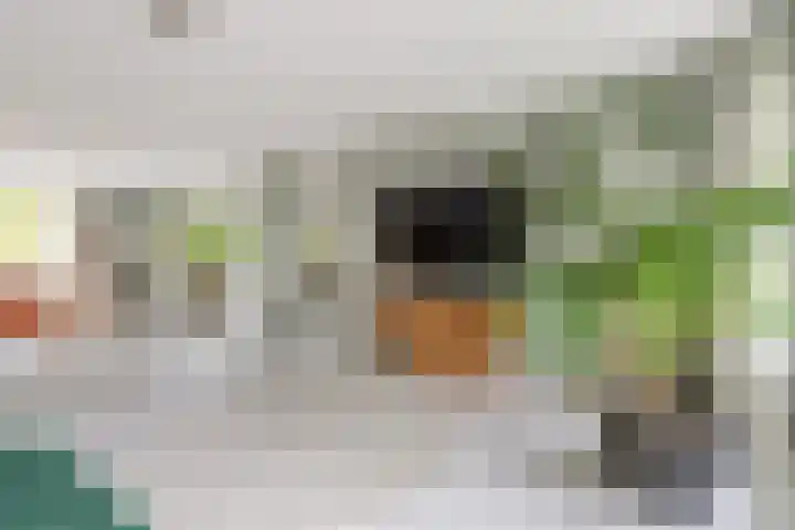 Mozartlaan 30 Breda thumbnail 35