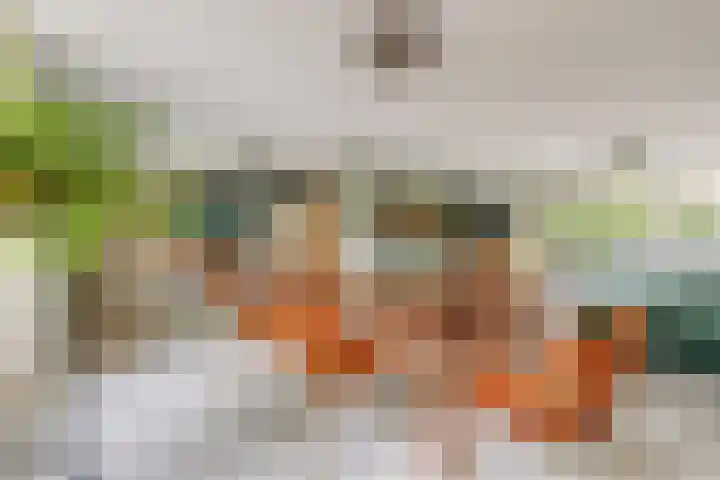 Mozartlaan 30 Breda thumbnail 40