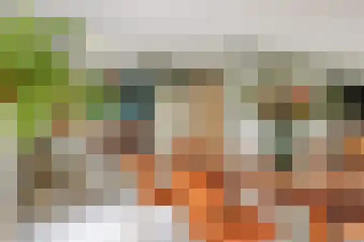 Mozartlaan 30 Breda thumbnail 41