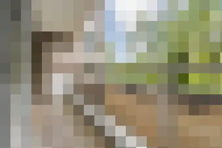 Mozartlaan 30 Breda thumbnail 48