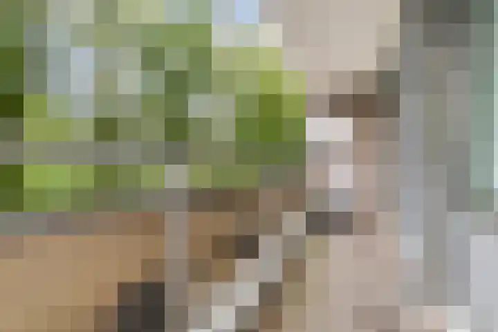 Mozartlaan 30 Breda thumbnail 49