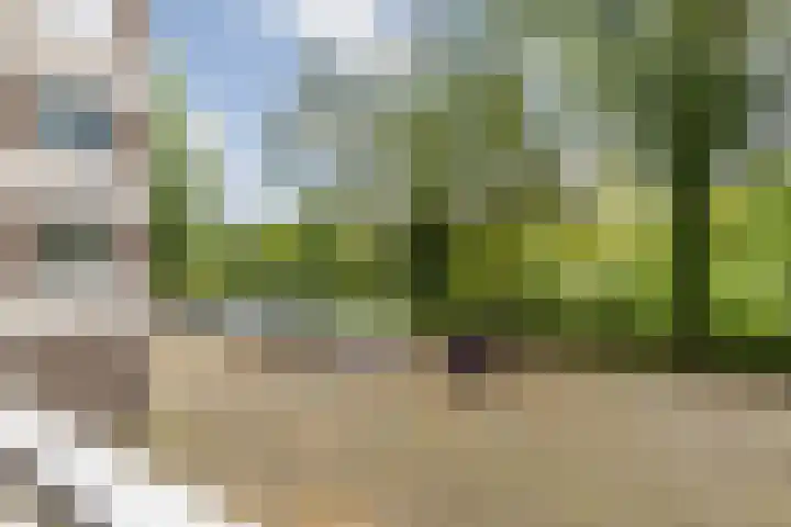 Mozartlaan 30 Breda thumbnail 50