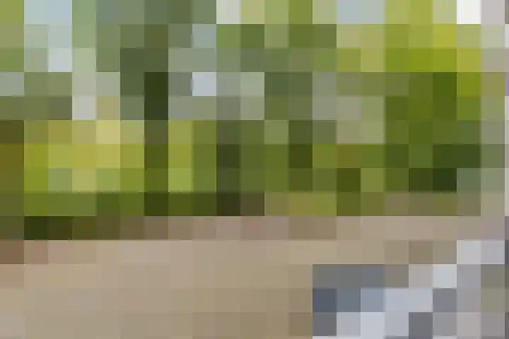 Mozartlaan 30 Breda thumbnail 51