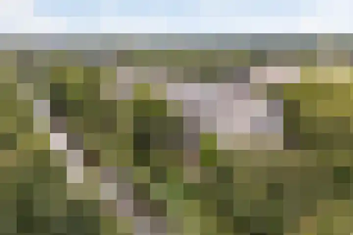 Mozartlaan 30 Breda thumbnail 6